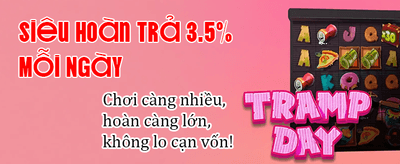 Tải 555win22 APK Nhận Quà