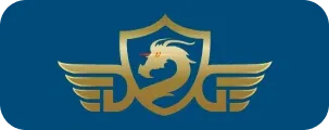 Momo VN partner logo